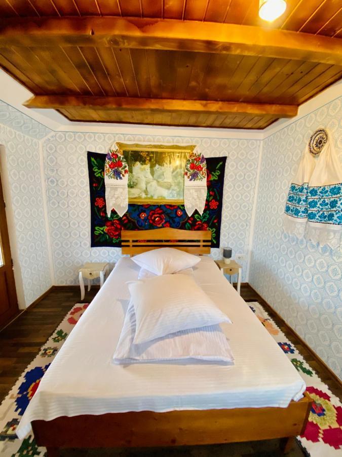 Floare De Maramures 1 Vadu Izei Exteriér fotografie