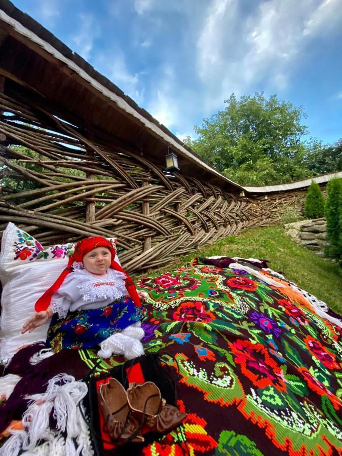Floare De Maramures 1 Vadu Izei Exteriér fotografie