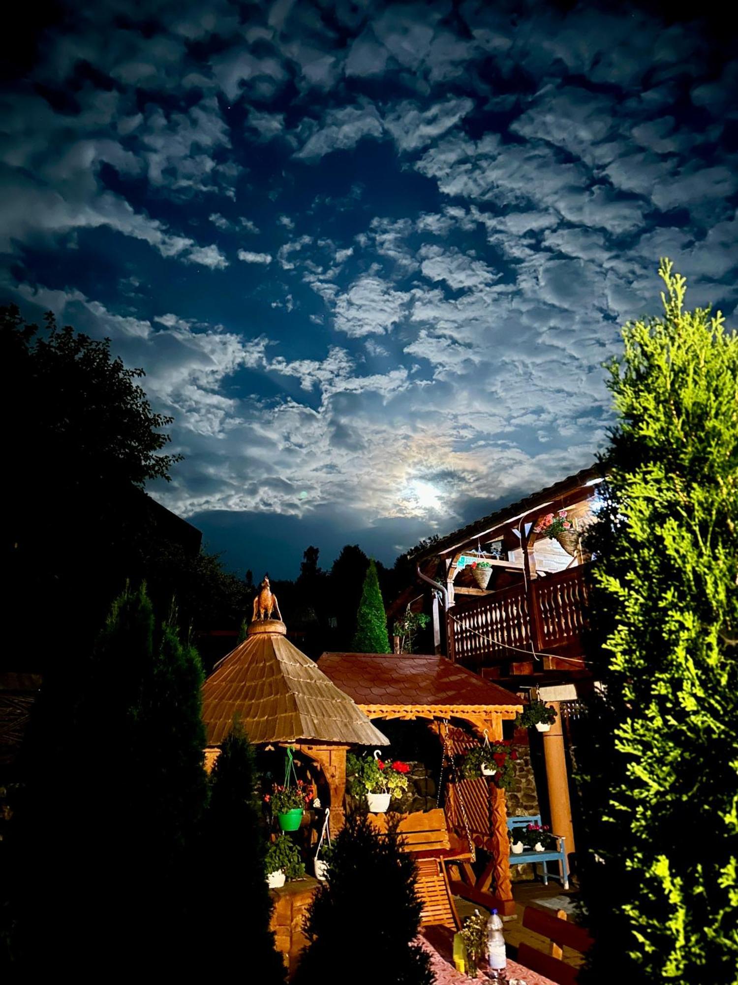 Floare De Maramures 1 Vadu Izei Exteriér fotografie